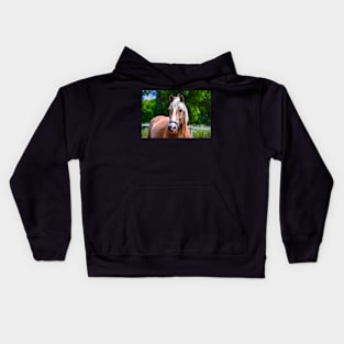 Horse Portrait Kids Hoodie